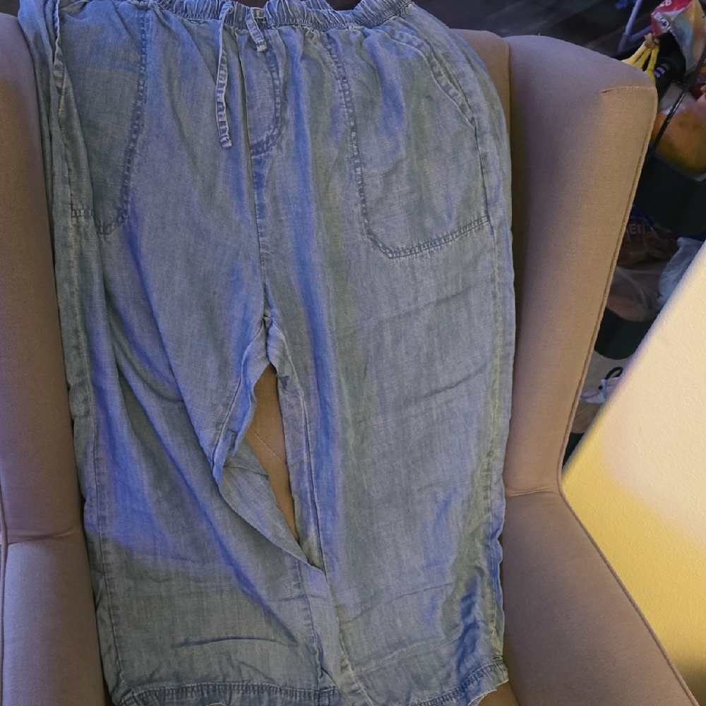 Splendid Denim Blue Pants